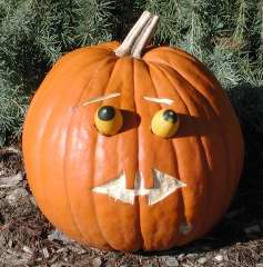 eyes, Nipomo Pumpkin Patch, carving idea